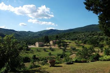 Chianti Half-Day Wine Tour from Florence