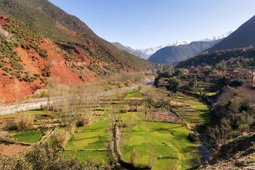 Day Trip to Atlas Mountains from Marrakech with Optional Visit to Takerkoust Lake and Kik Plateau