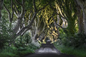 Game of Thrones and Giant’s Causeway Full-Day Tour from Belfast