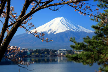 Mt. Fuji Day Trip Including Lake Ashi Sightseeing Cruise from Tokyo