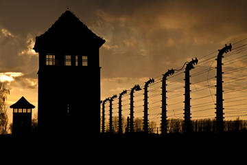 Super Saver: Auschwitz-Birkenau Half-Day Tour plus Wieliczka Salt Mine Half-Day Tour