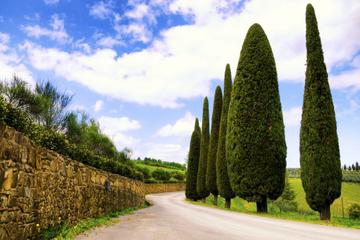 Taste of Chianti: Tuscan Cheese, Wine and Lunch from Florence