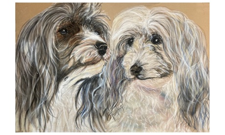 24cm x 32cm or 35cm x 50cm Personalized Pastel Pet portrait from Helen York Artist & Creator (Up to 38% Off)