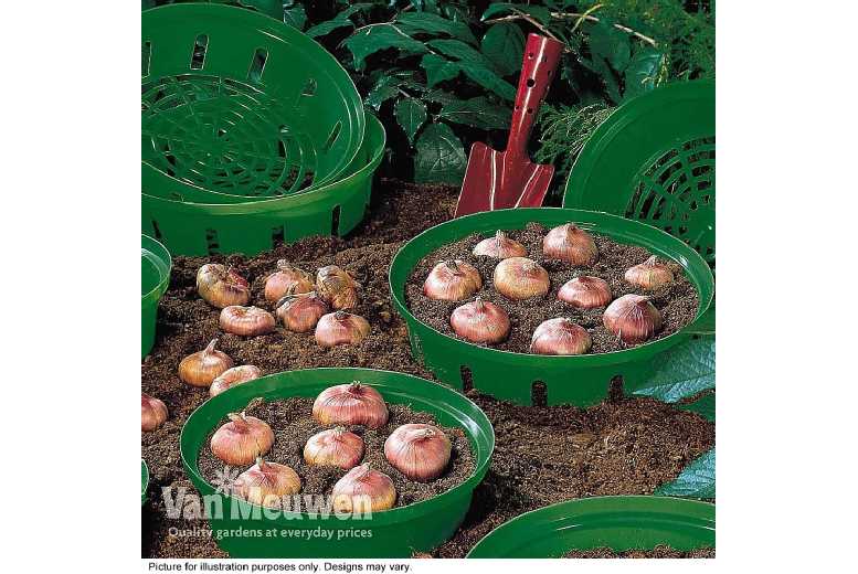 Up to 10 Bulb Planting Baskets
