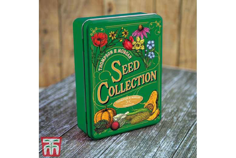 Seed Storage Tin +  Flower Seeds