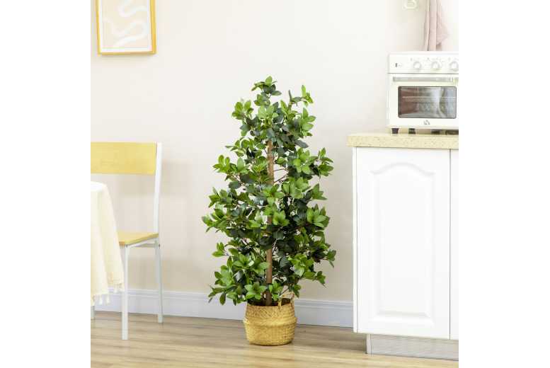 HOMCOM Bay Leaf Laurel Plant