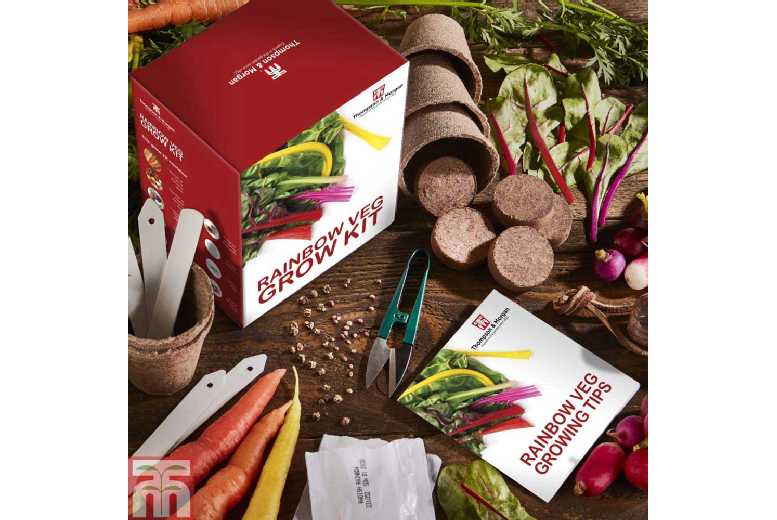 Rainbow Vegetable Seed Growing Kit
