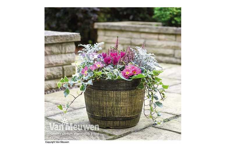 up to 5 Whisky Barrel Planters
