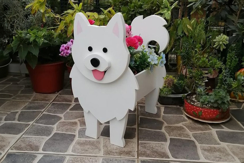 Cute Dog Flowerpot