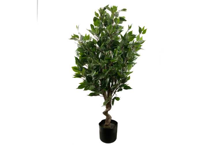 110cm Evergreen Ficus, Artificial Plant