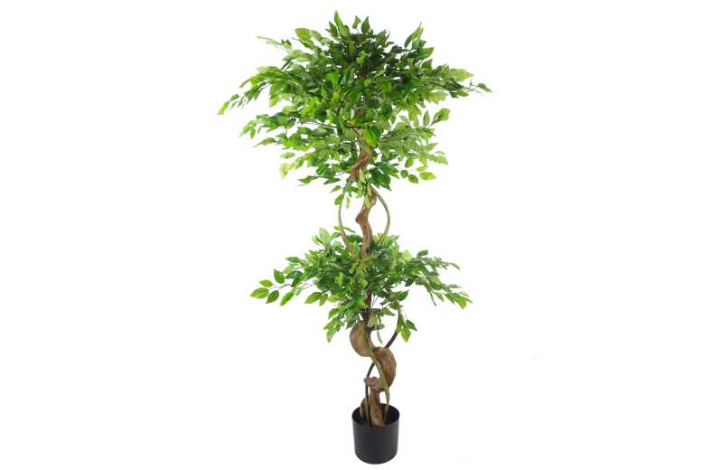 150cm Artificial Ficus,Twisted Trunk