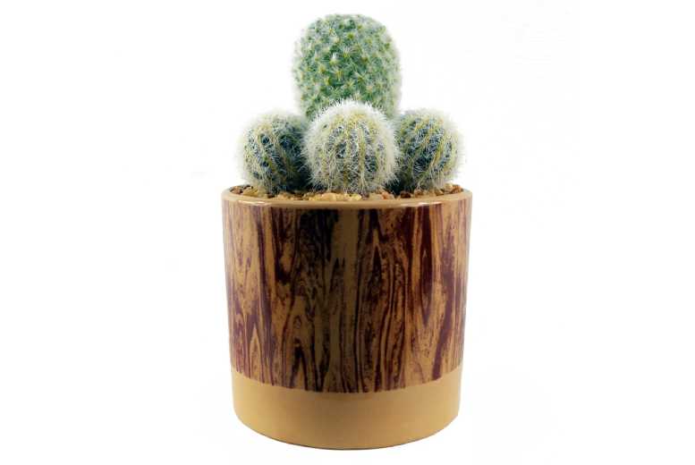 20cm Ceramic Planter, Artificial Cactus