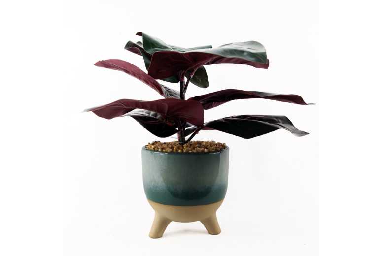 35cm Ficus Artificial Plant, Ceramic