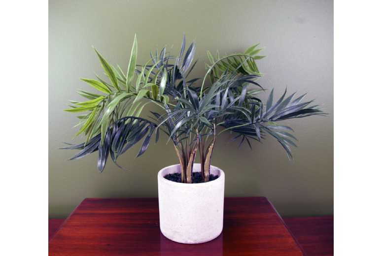 40cm Mini Tropical Palm,Decorative Plant
