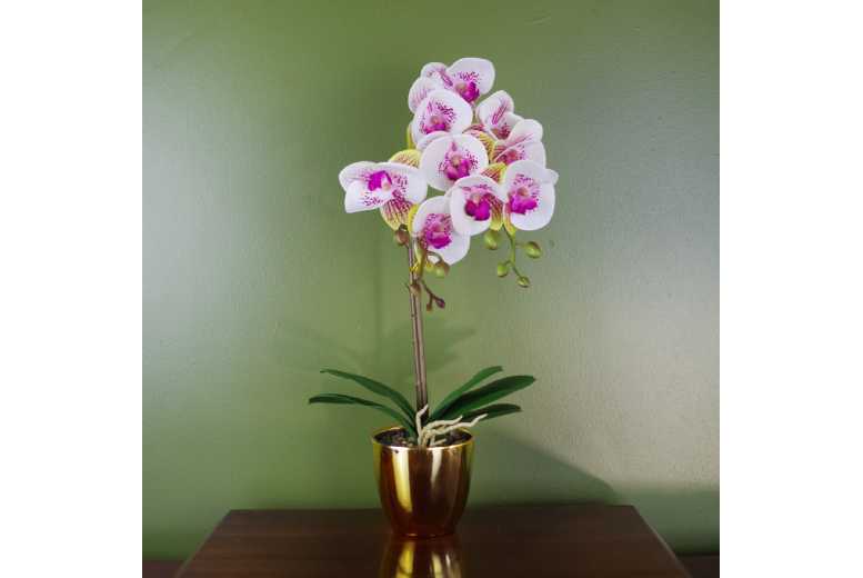 48cm Harlequin Orchid, Pink Gold Decor