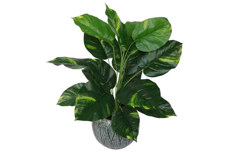 60cm Artificial Devil’s Ivy