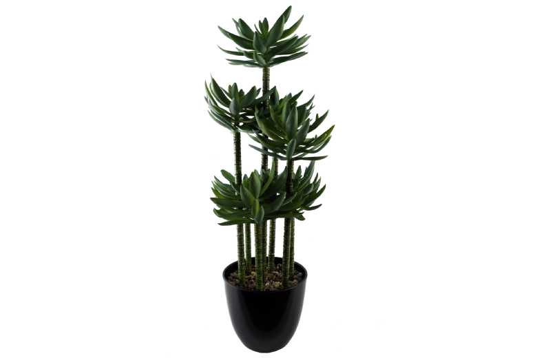 60cm Artificial Tropical Yukka