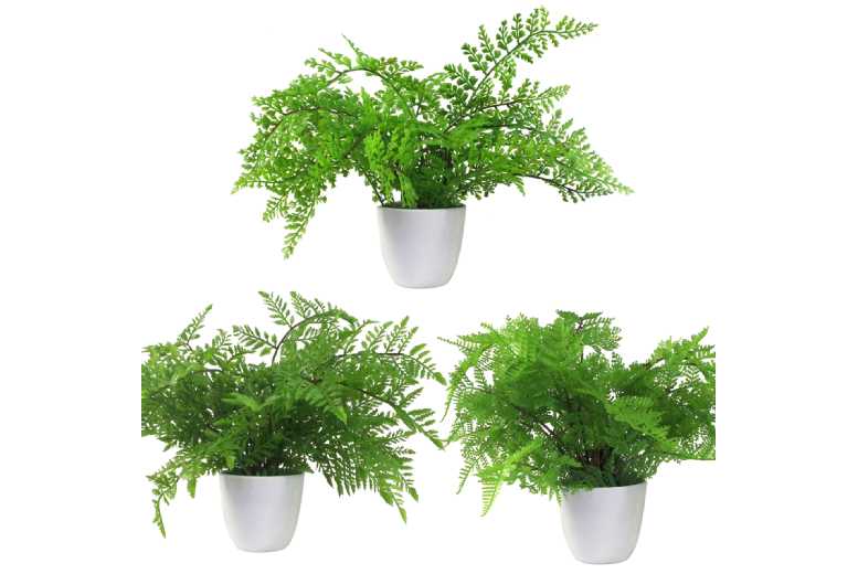 Pack of 3 Artificial Ferns