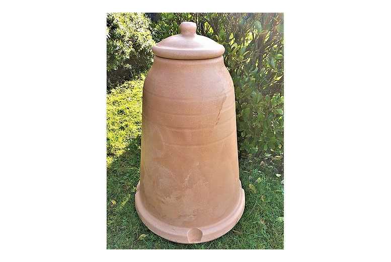 Rhubarb Forcer