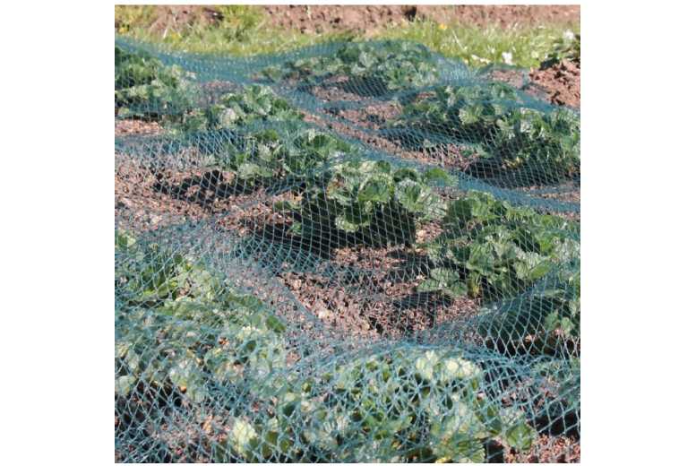 Protective Pond Netting – 3M X 2M