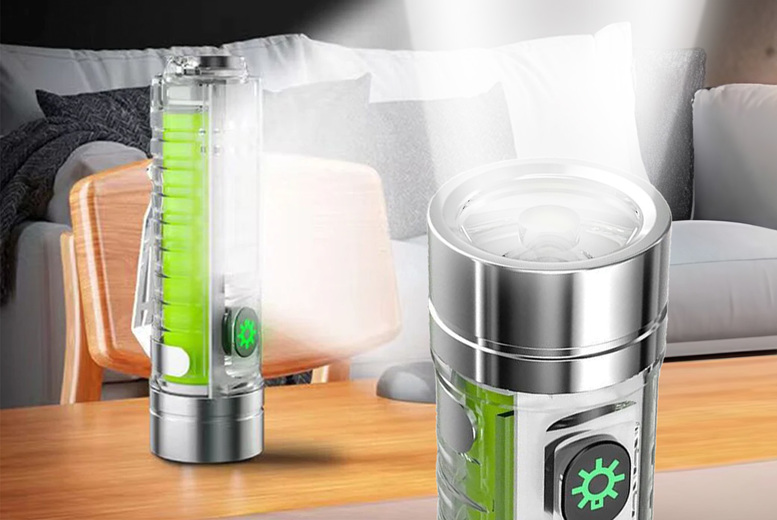 Portable Multi-LED Flashlight