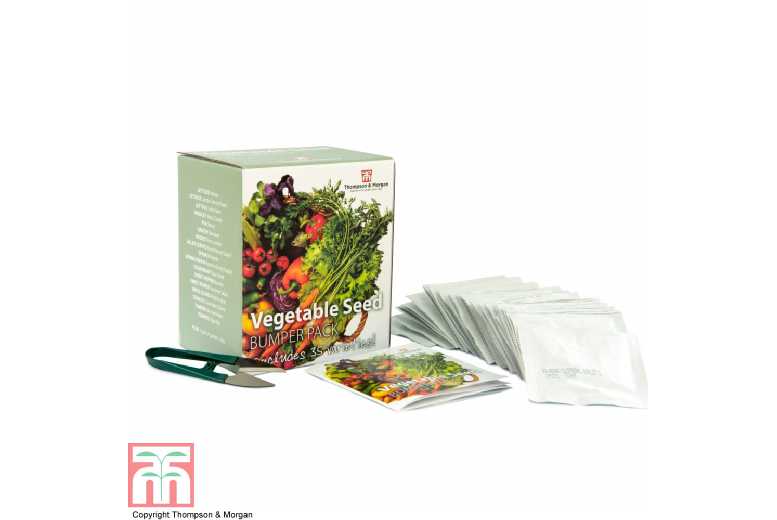 Bumper Veg Seed Kit (35 Packs)