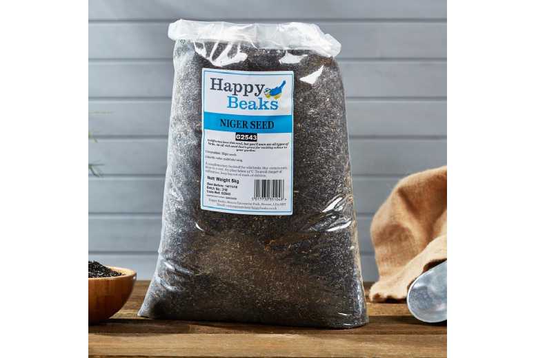 Niger Seed