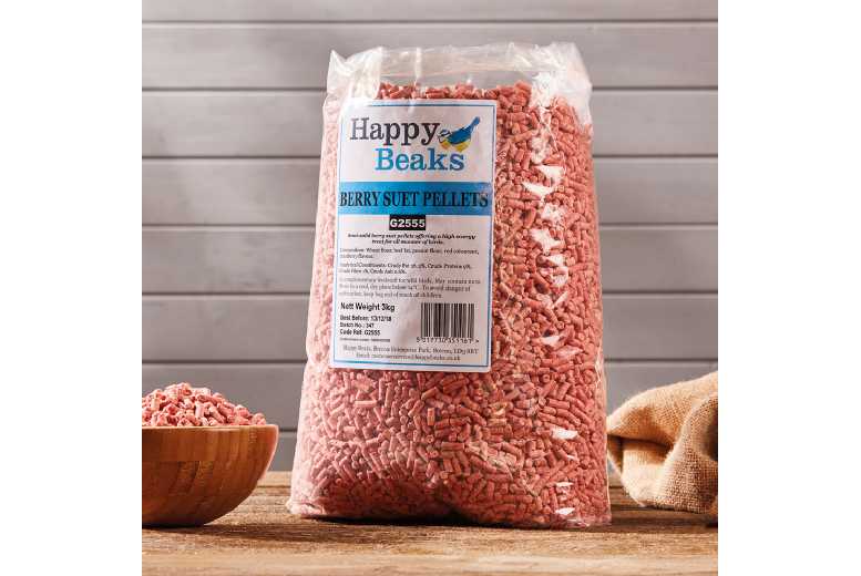 Berry Suet Pellets