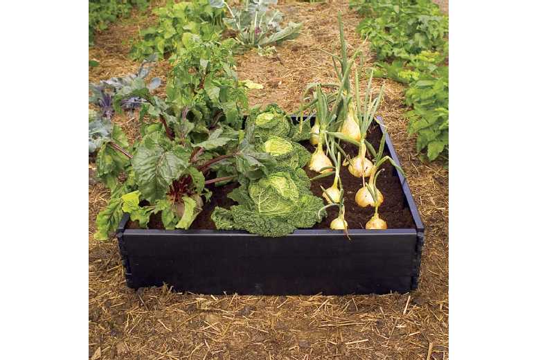 Raised Bed Kit