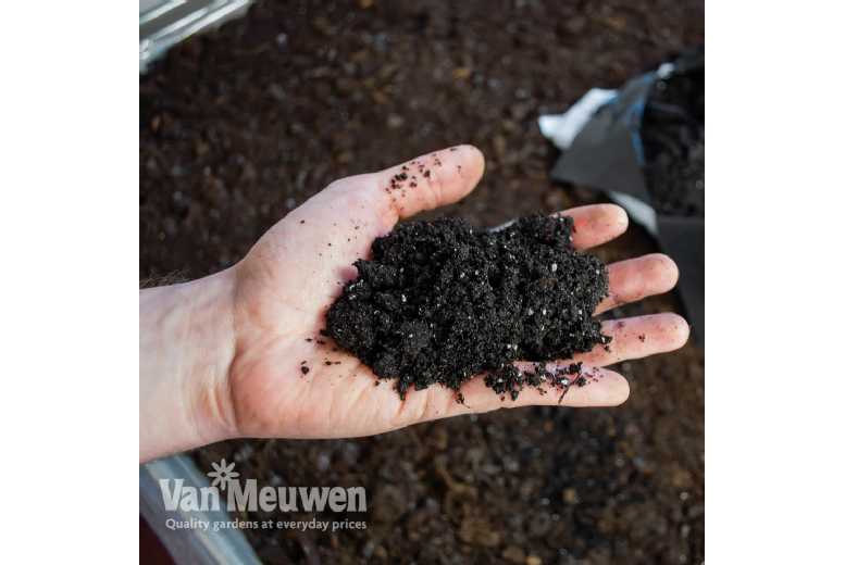 Ericaceous Compost – 25 Litre Bag