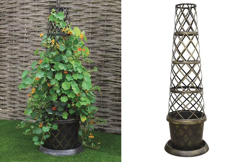 1 or 2 Black & Gold Trellis Tower Pot