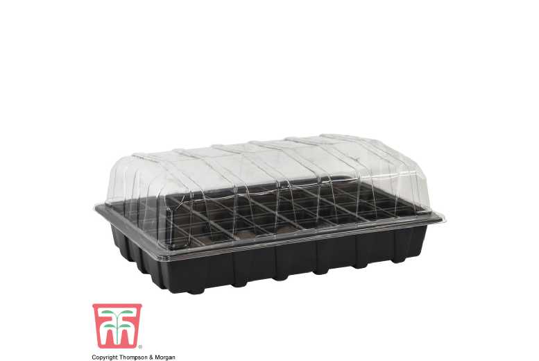 Prepacked Propagator