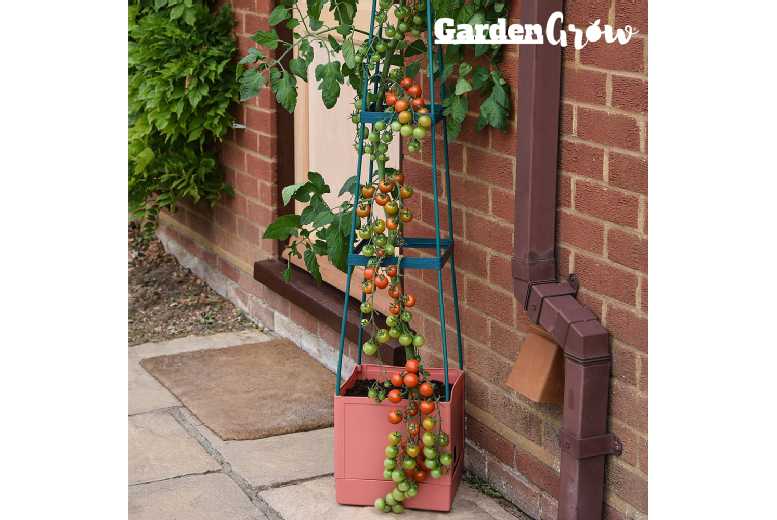 4 Tier Self Watering Tomato Tower