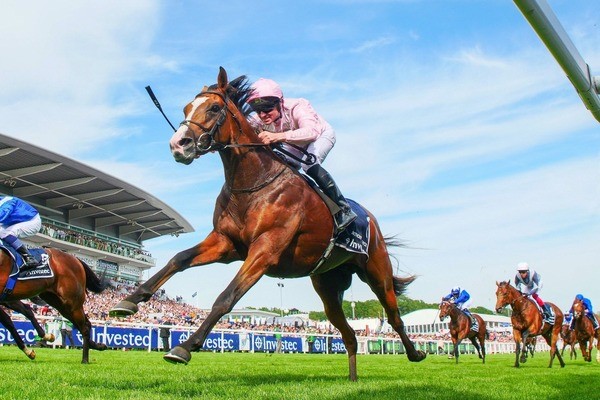 One Night Horse Racing Break for Two with Enclosure Tickets and Preview