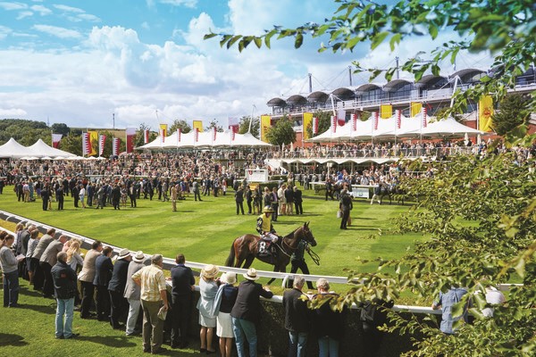 A Day at the Races with Enclosure Ticket and Preview for One
