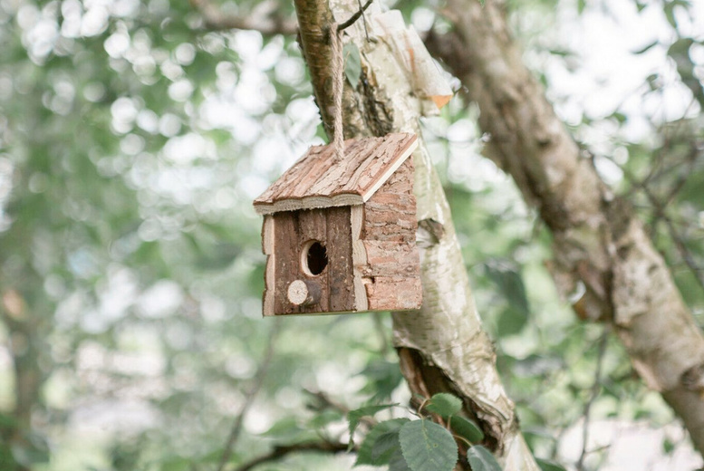 Rustic Hanging Garden Bird House and Feeder