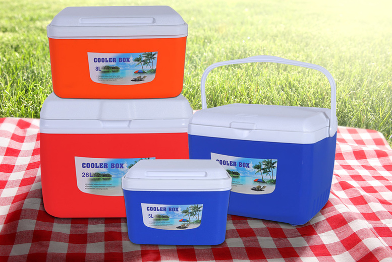 Insulated Cooler Box