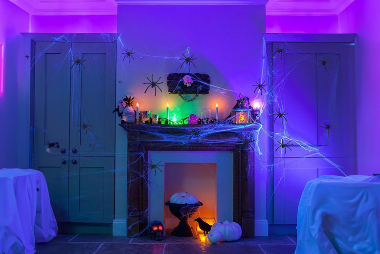 Halloween Spider Web With 12 Spiders