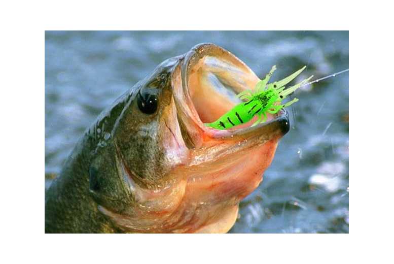 Fishing Advent Calendar Fishing Accessories Kit | Wowcher