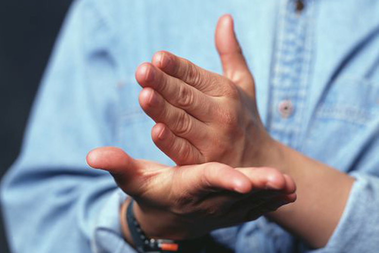 British Sign Language Online Course – BSL Levels 1 & 2 Certification | Wowcher